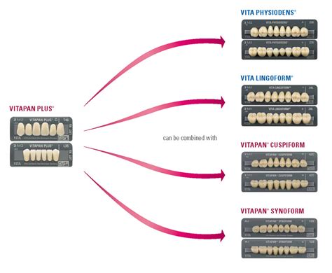 VITAPAN® PLUS acrylic anterior teeth